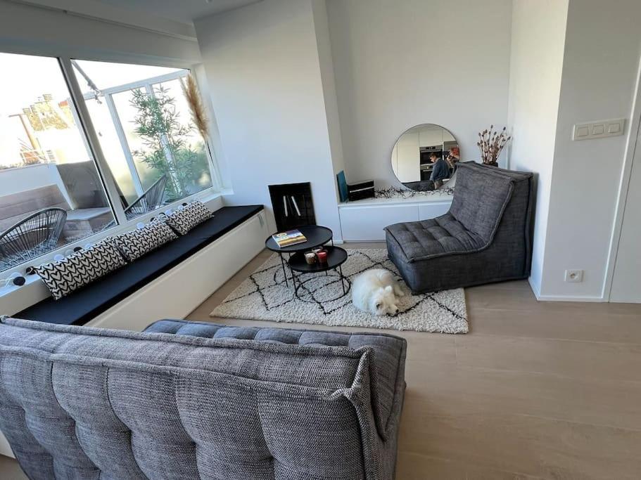 Beautiful Penthouse At 5Min Of Albert Place 克诺克－海斯特 外观 照片